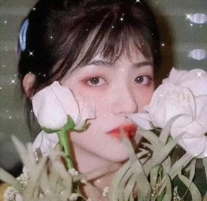 我的继父是偶像